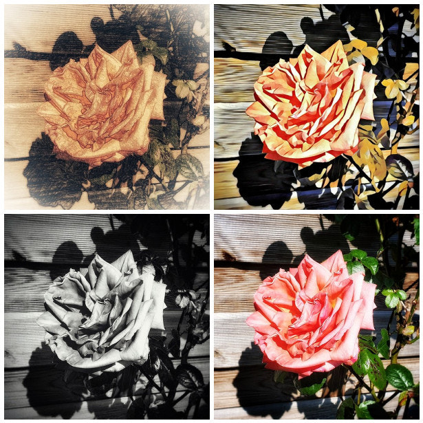 By any other name...