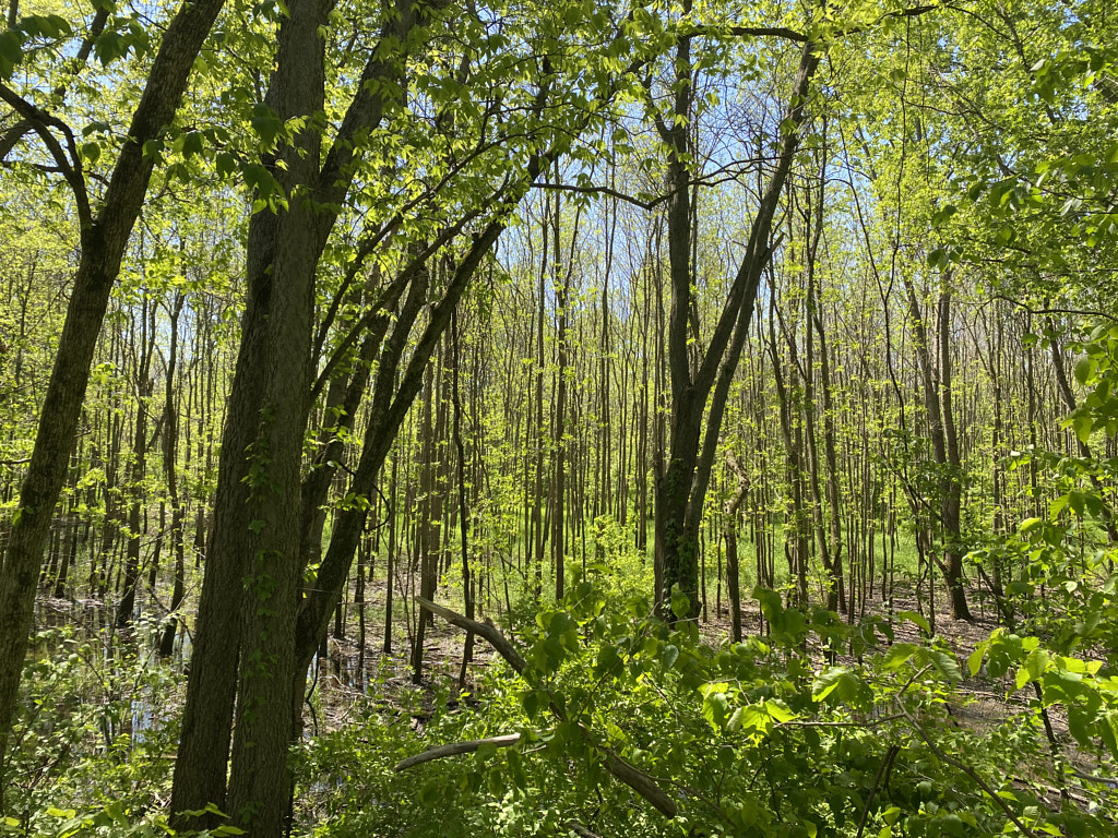 Untitled by Jacqueline and Kevin Reape on 500px.com