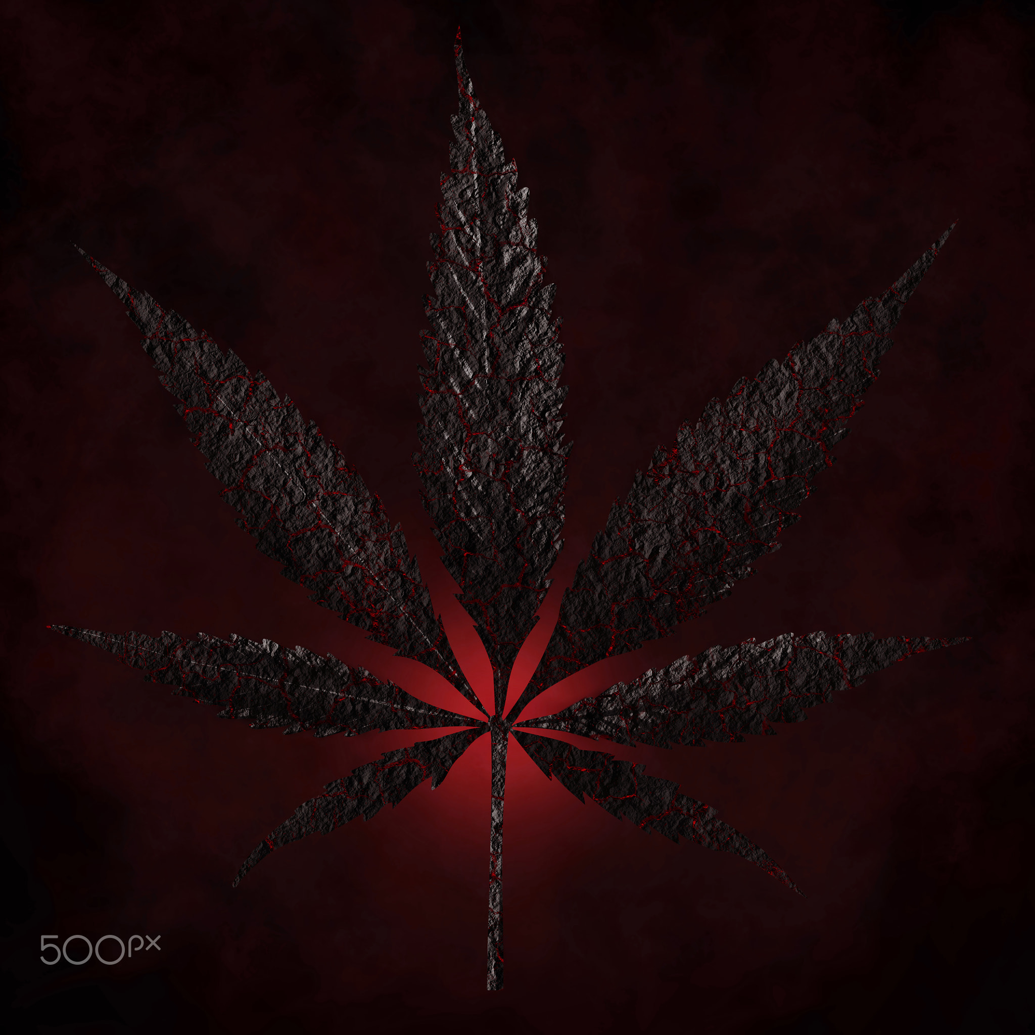 burnt charred cannabis leaves isolated on dark red background Growing
