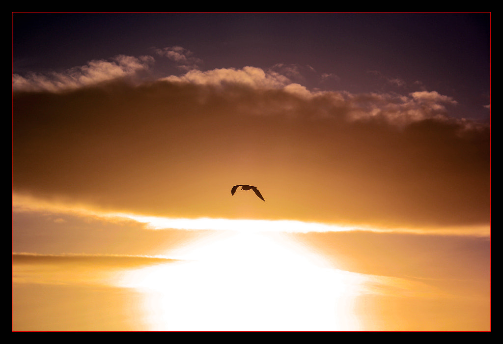 Westward by Justin B. on 500px.com