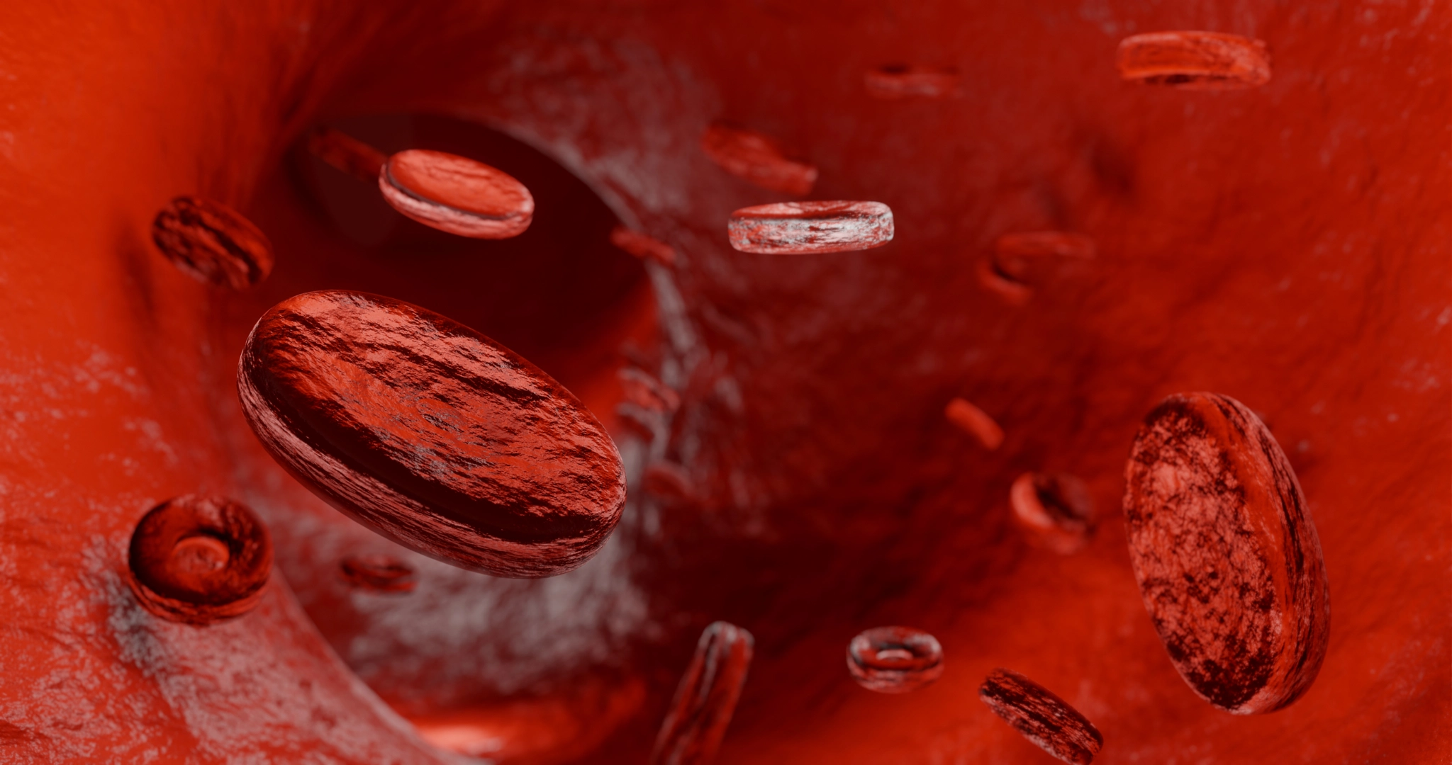 Erythrocytes or red blood cells. 3D render.