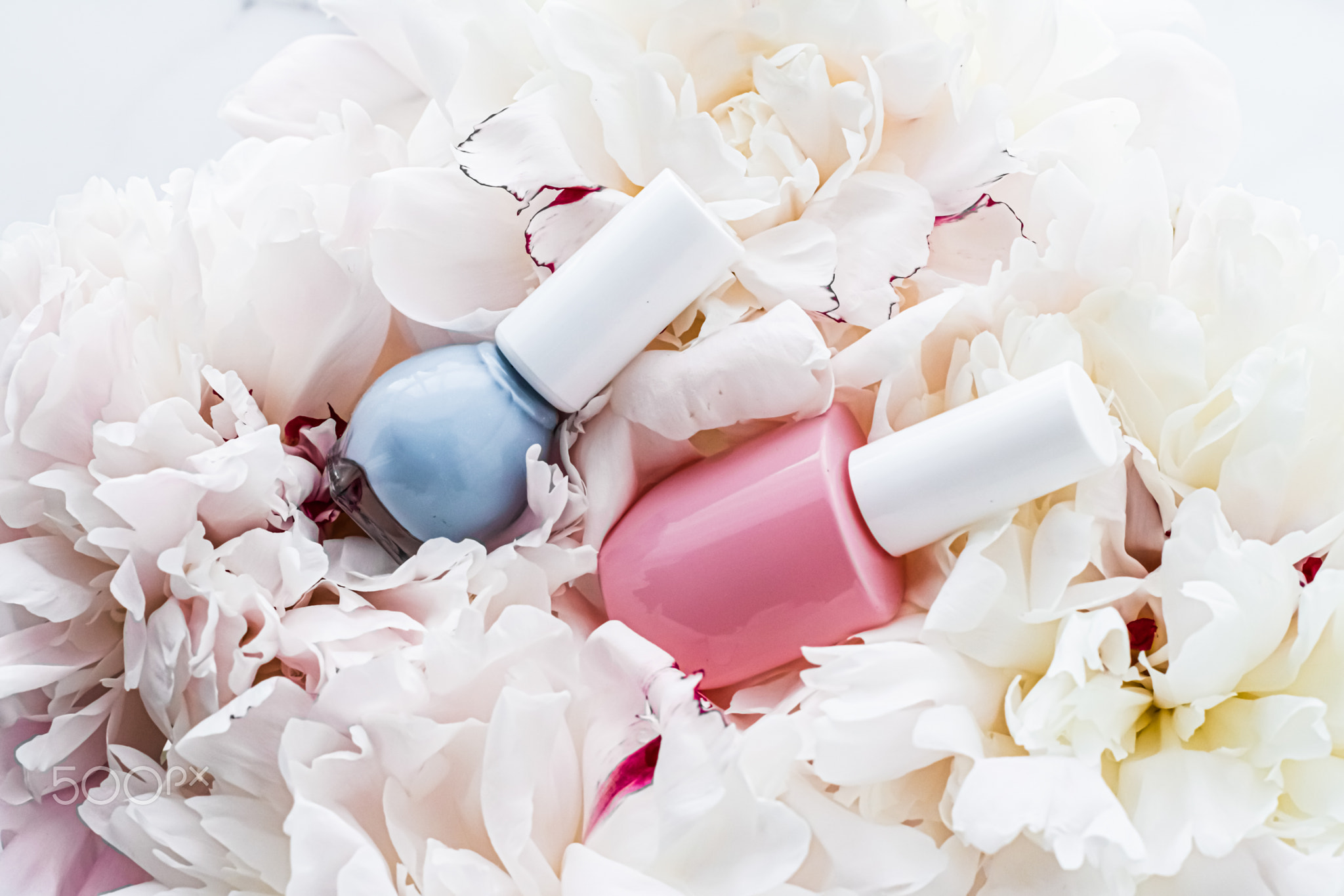 Nail polish bottles on floral background, french manicure and cosmetic