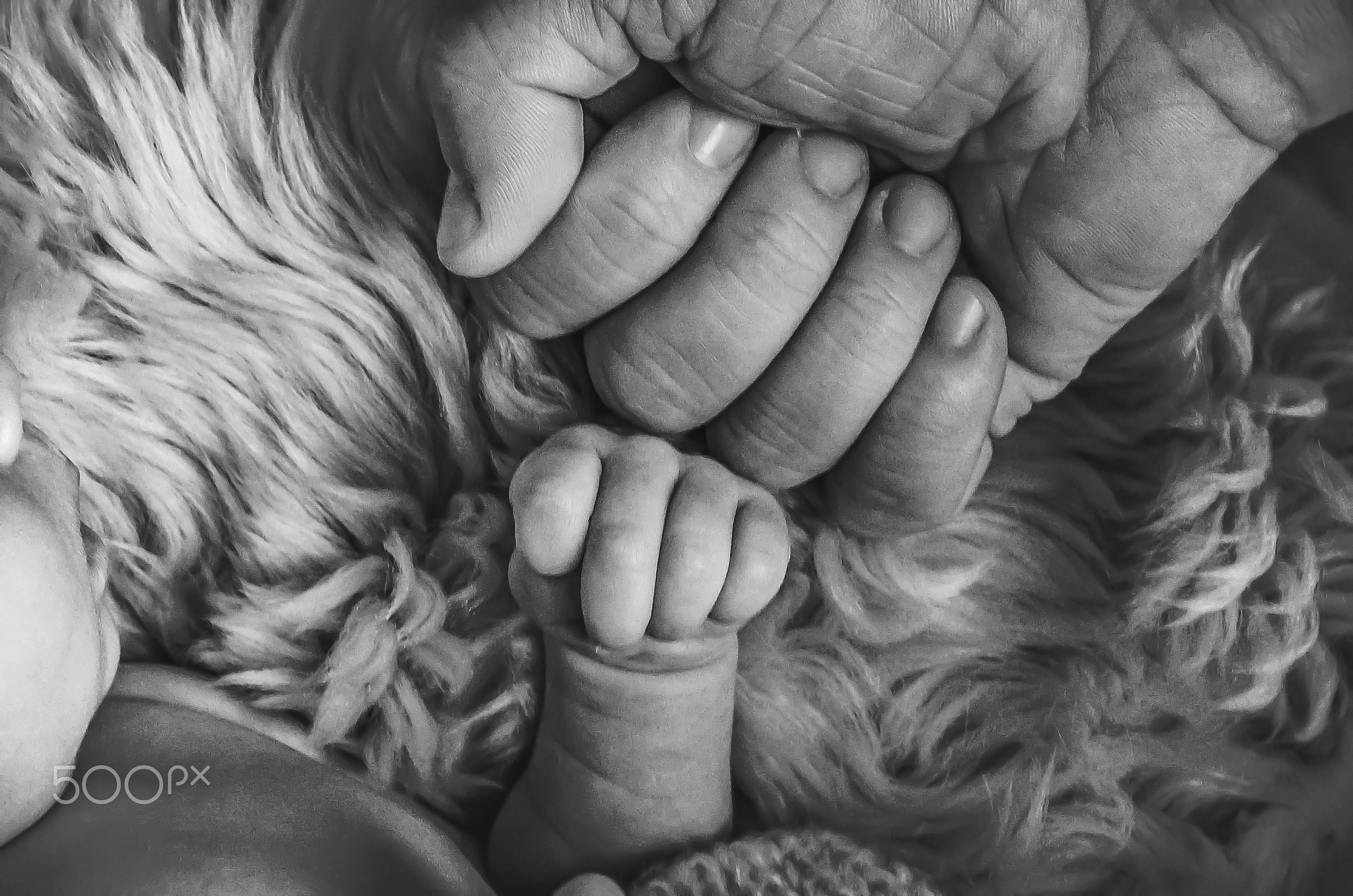 Dad's strong hand touches the teeny tiny newborn baby's hand