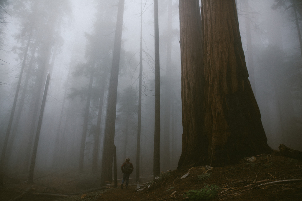 Mystery of the Giants by Ida Hollis on 500px.com