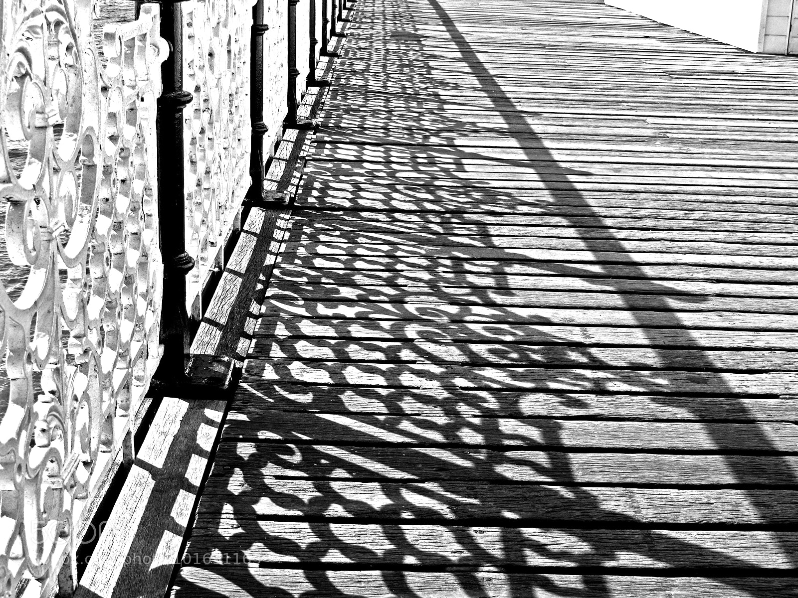 Canon PowerShot G11 sample photo. Untitled photography