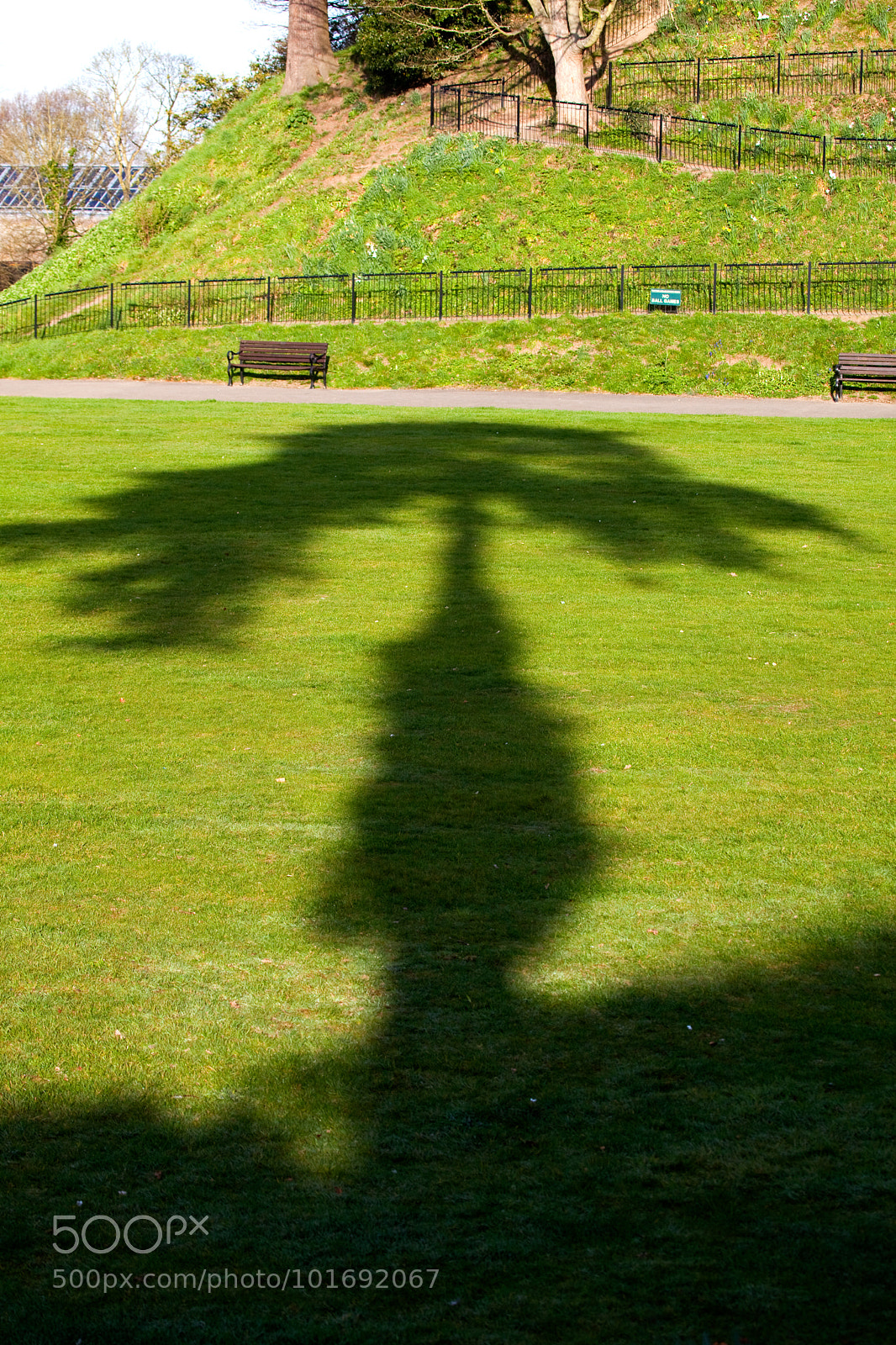 Canon EOS 5D Mark II sample photo. Untitled photography