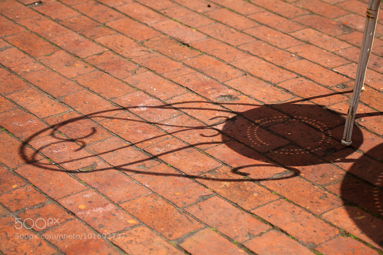 Canon EOS 5D Mark II sample photo. Untitled photography