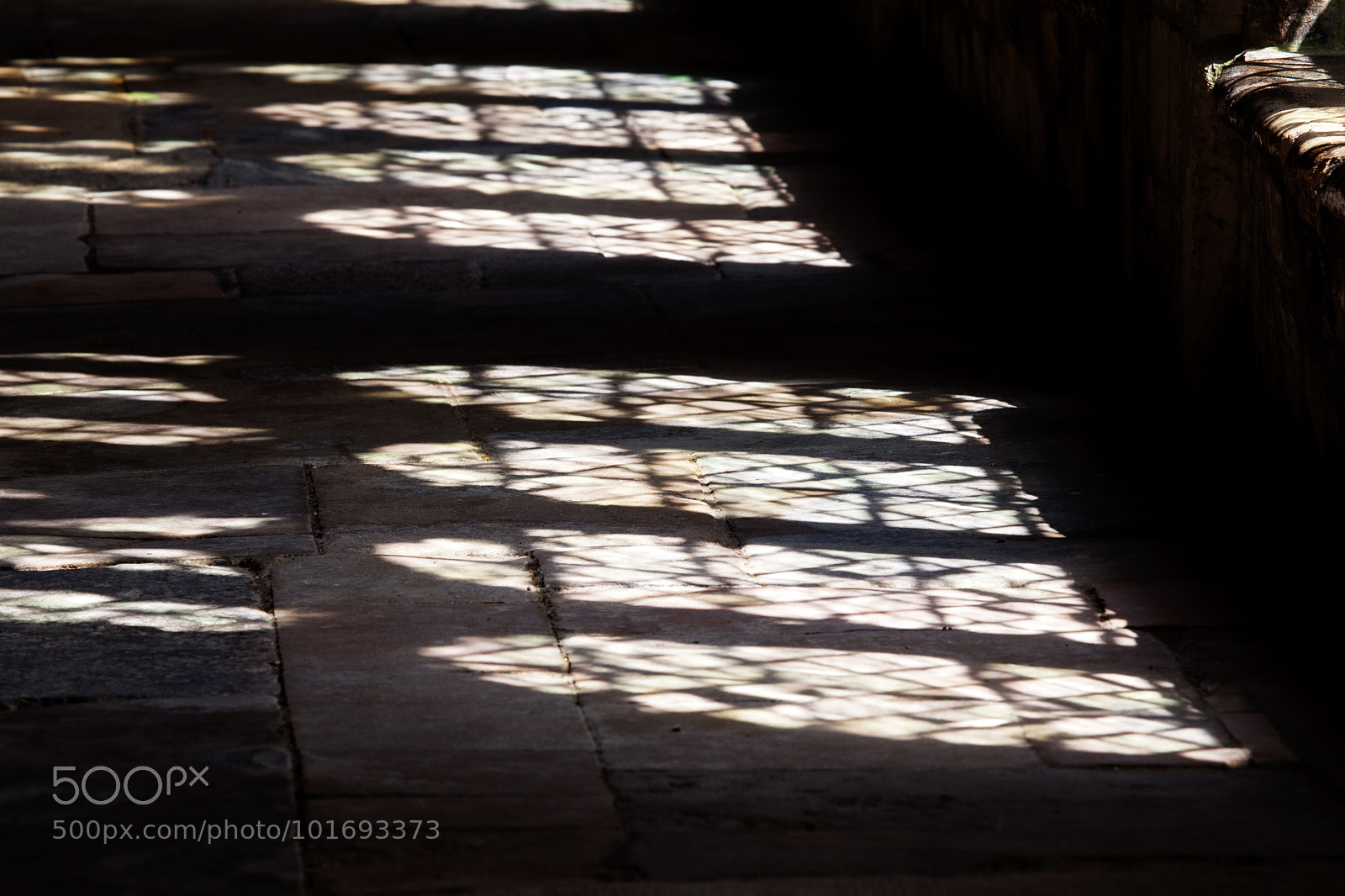 Canon EOS 5D Mark II sample photo. Untitled photography