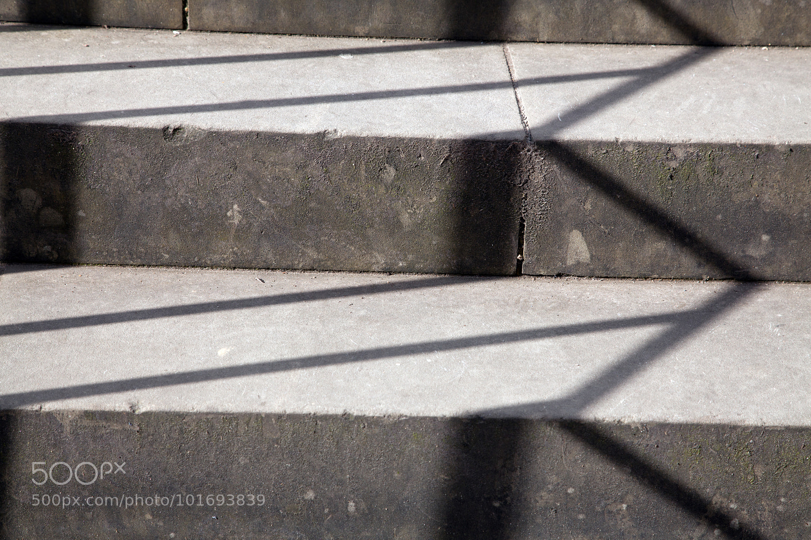 Canon EOS 5D Mark II sample photo. Untitled photography