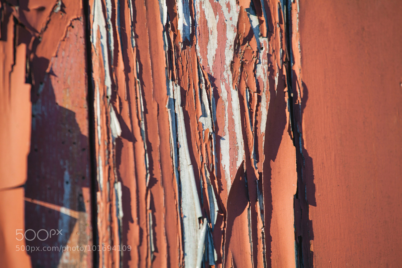 Canon EOS 5D Mark II sample photo. Seen better days photography