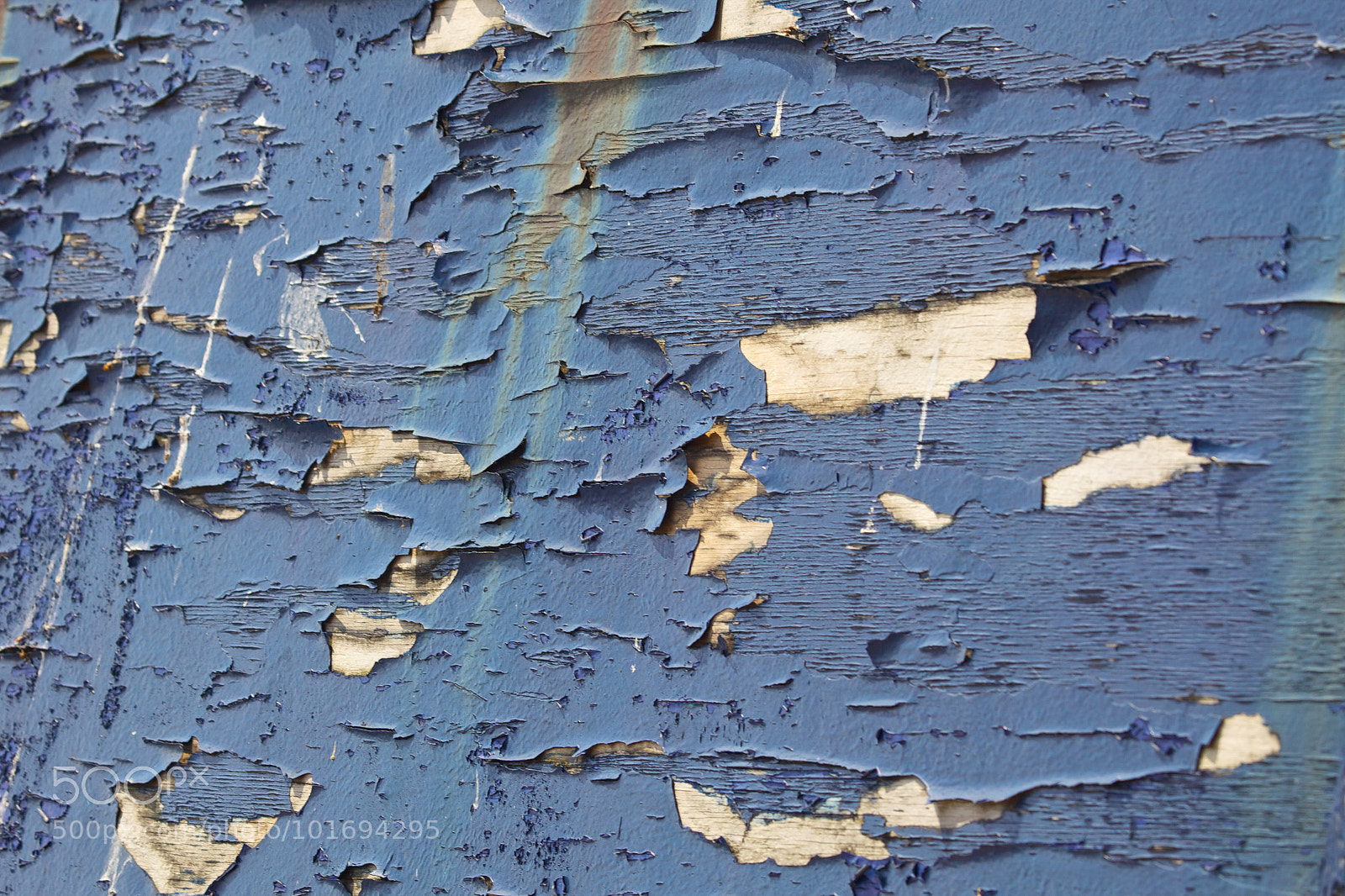 Canon EOS 5D Mark II sample photo. A peeling propect photography