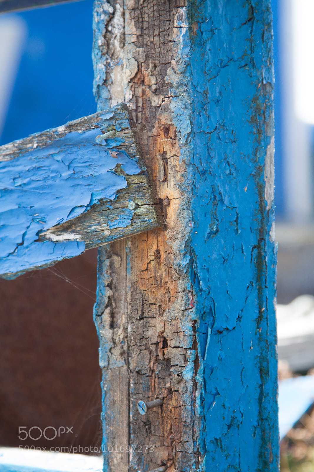 Canon EOS 7D sample photo. Untitled photography