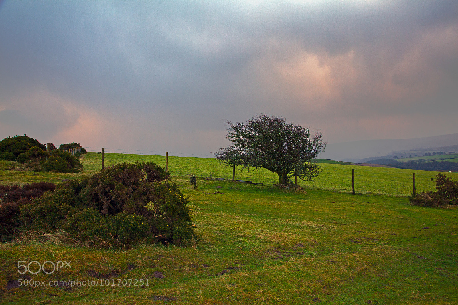 Canon EOS 5D Mark II sample photo. Untitled photography