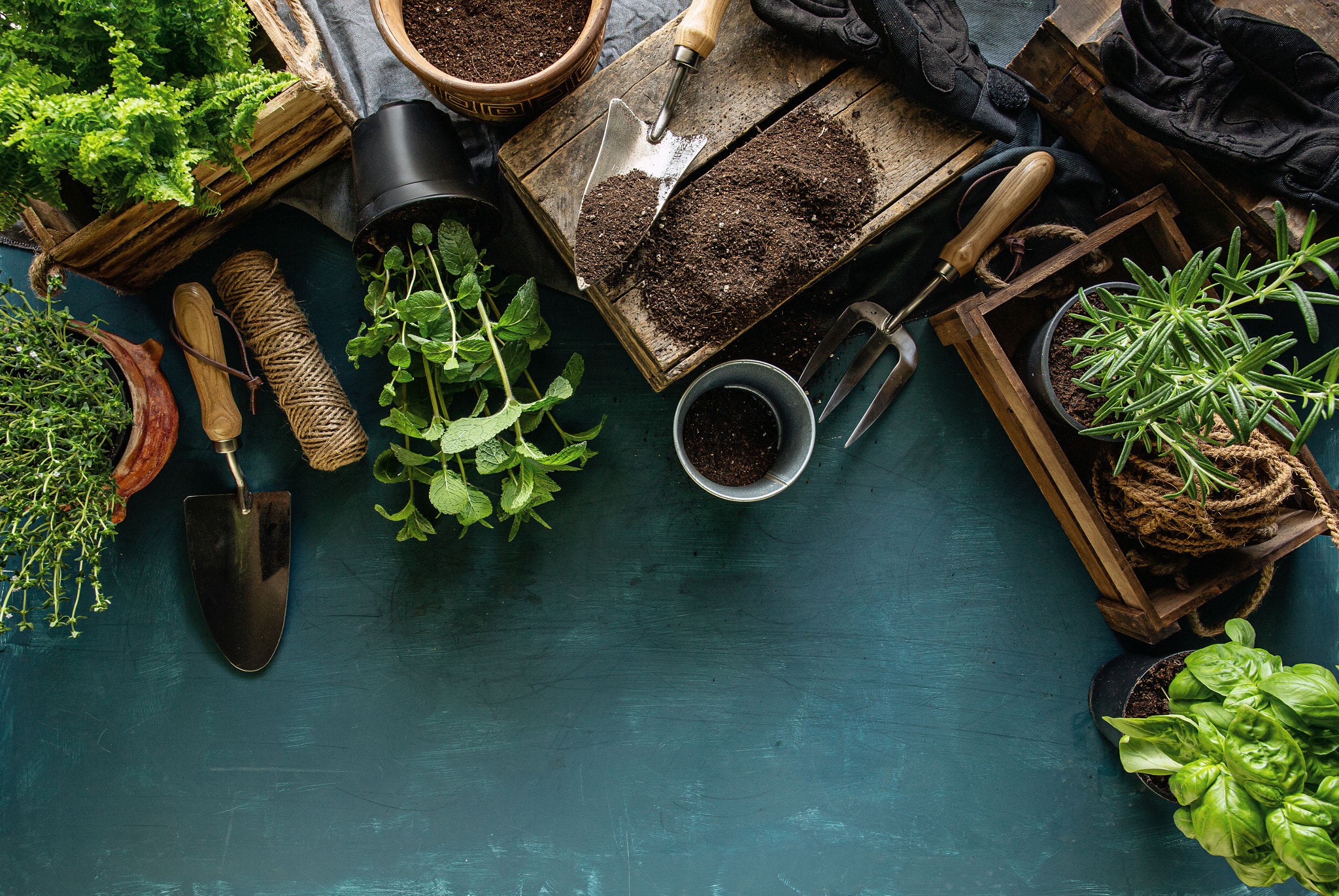How Do Solar Garden Lights Work? Telegraph