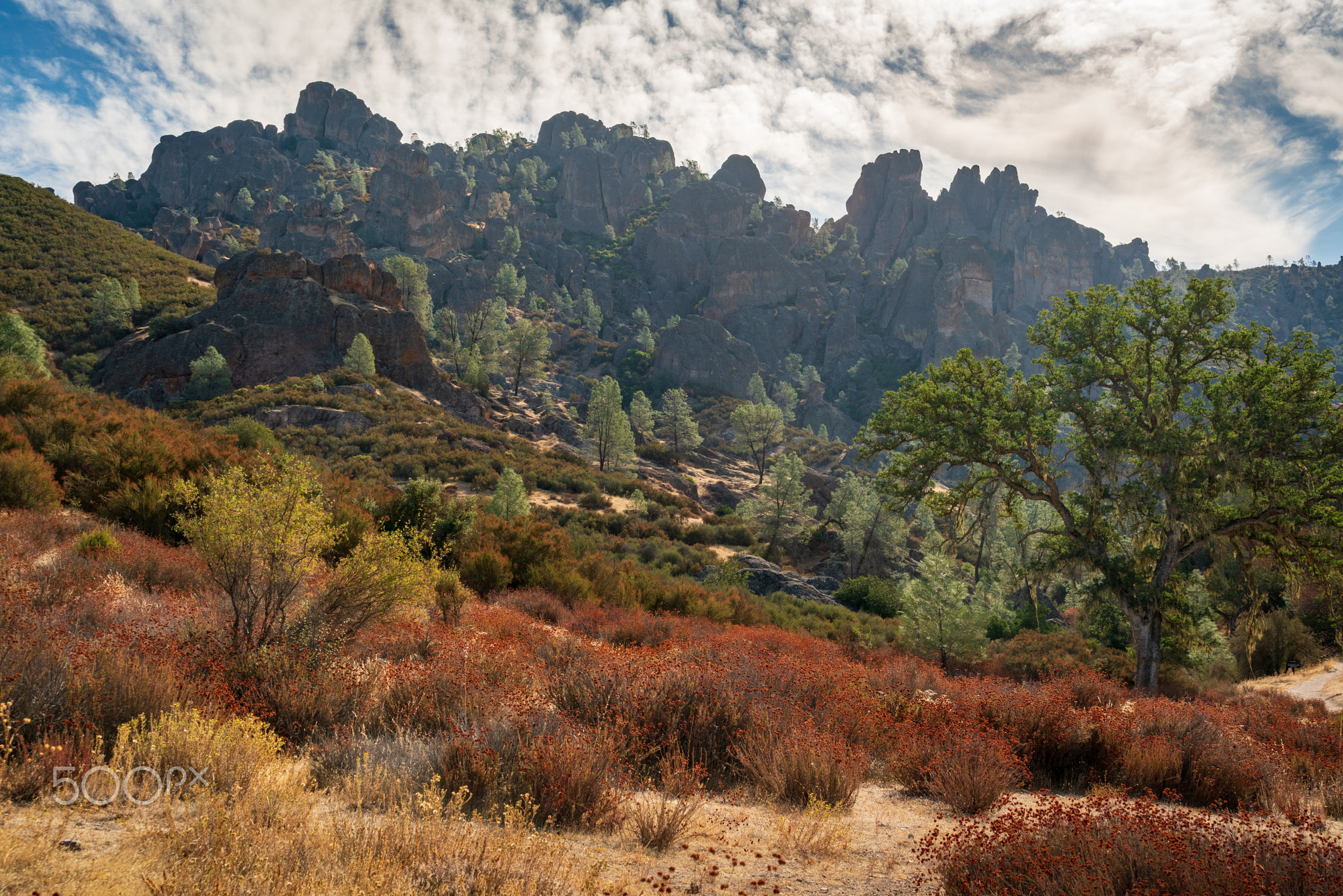 The Jagged Landscape of Pinnacles National Park