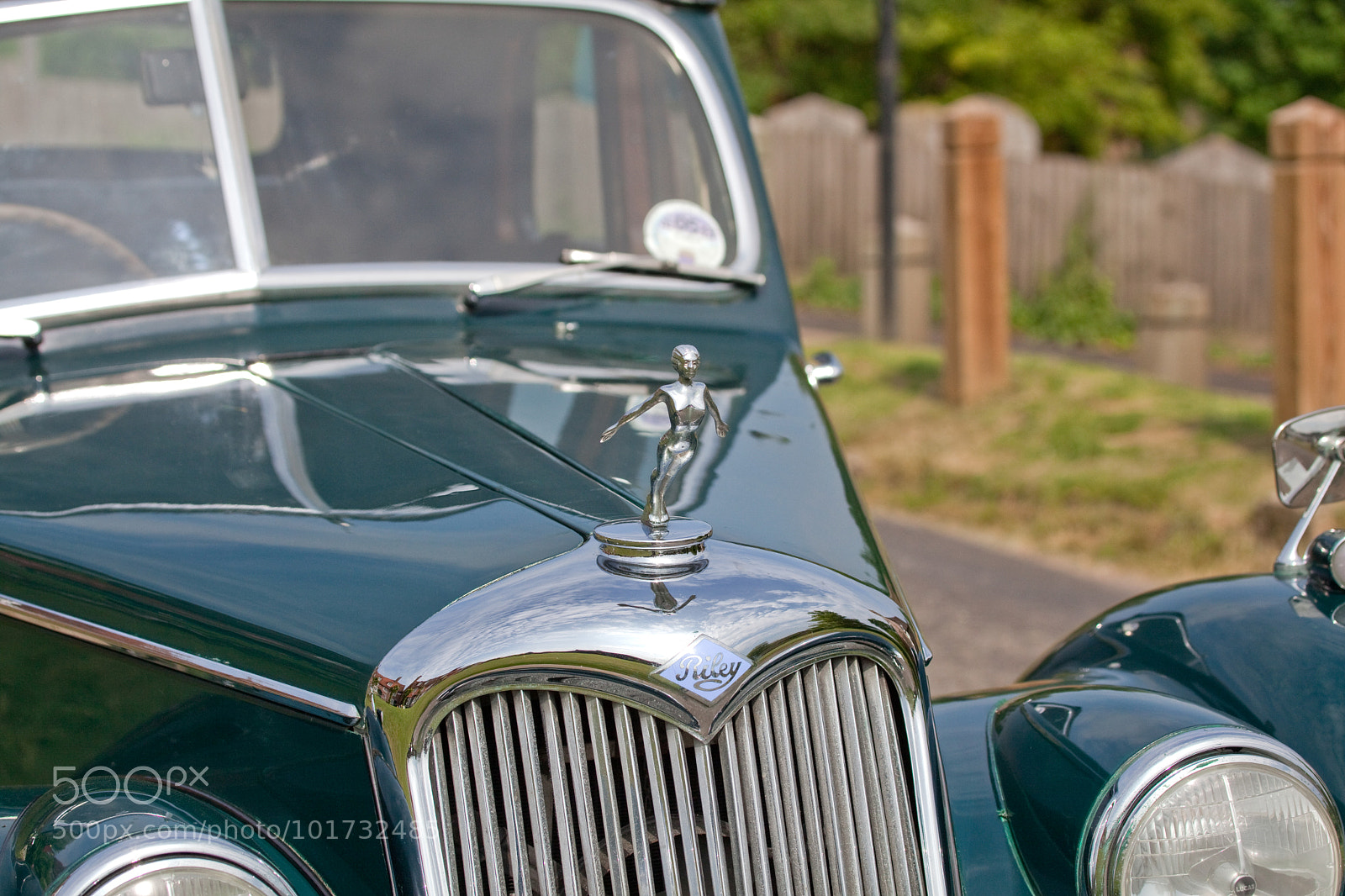 Canon EOS 5D Mark II sample photo. Untitled photography