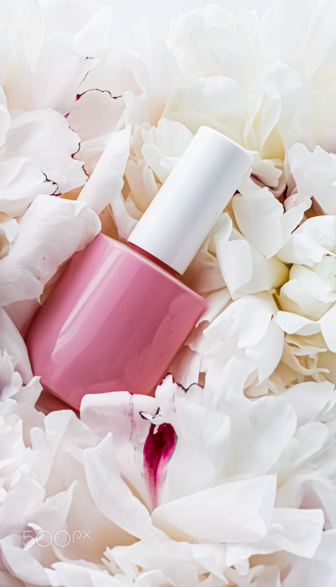 Nail polish bottles on floral background, french manicure and cosmetic