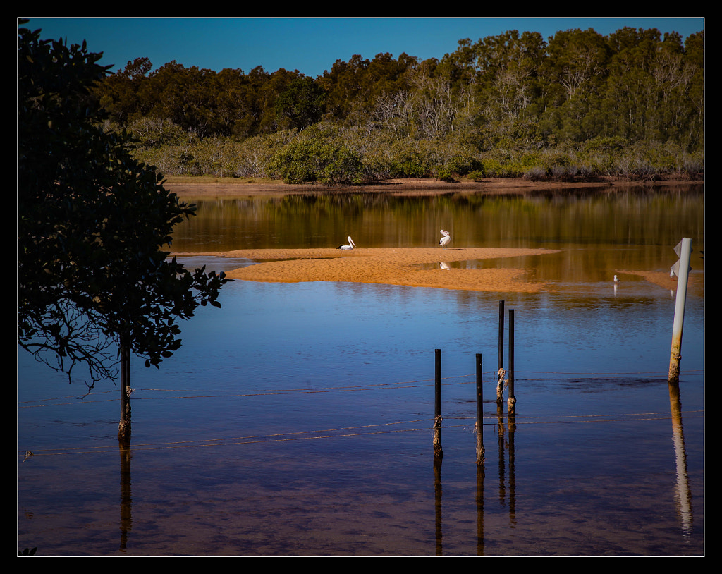 Nambucca Delta by Justin B. on 500px.com