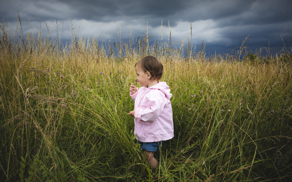 Thunderstorm Fields Flowers by Jure Batagelj on 500px.com