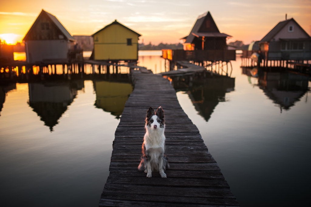 Bokod Lake by Iza ?yso? on 500px.com