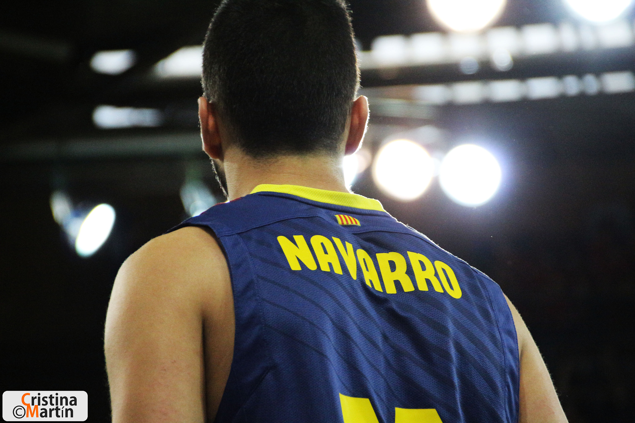 Navarro's back