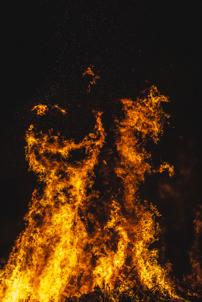 Natural Fire Skull by Jure Batagelj on 500px.com