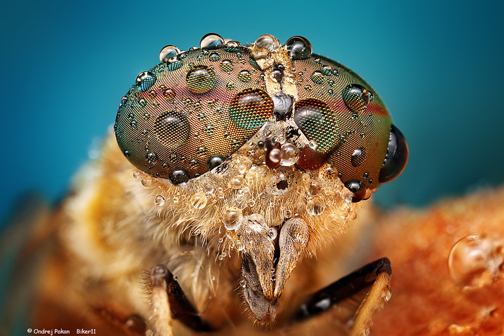 The rainbow  by Ondrej Pakan on 500px.com