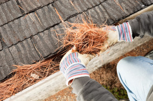 Gutter Cleaning - Gutter Cleaning Near Me