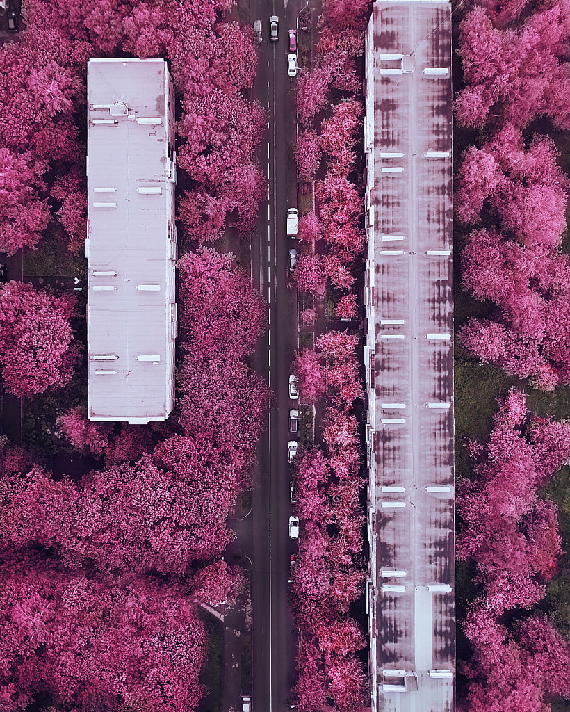 Pink city by Kristina Makeeva on 500px.com