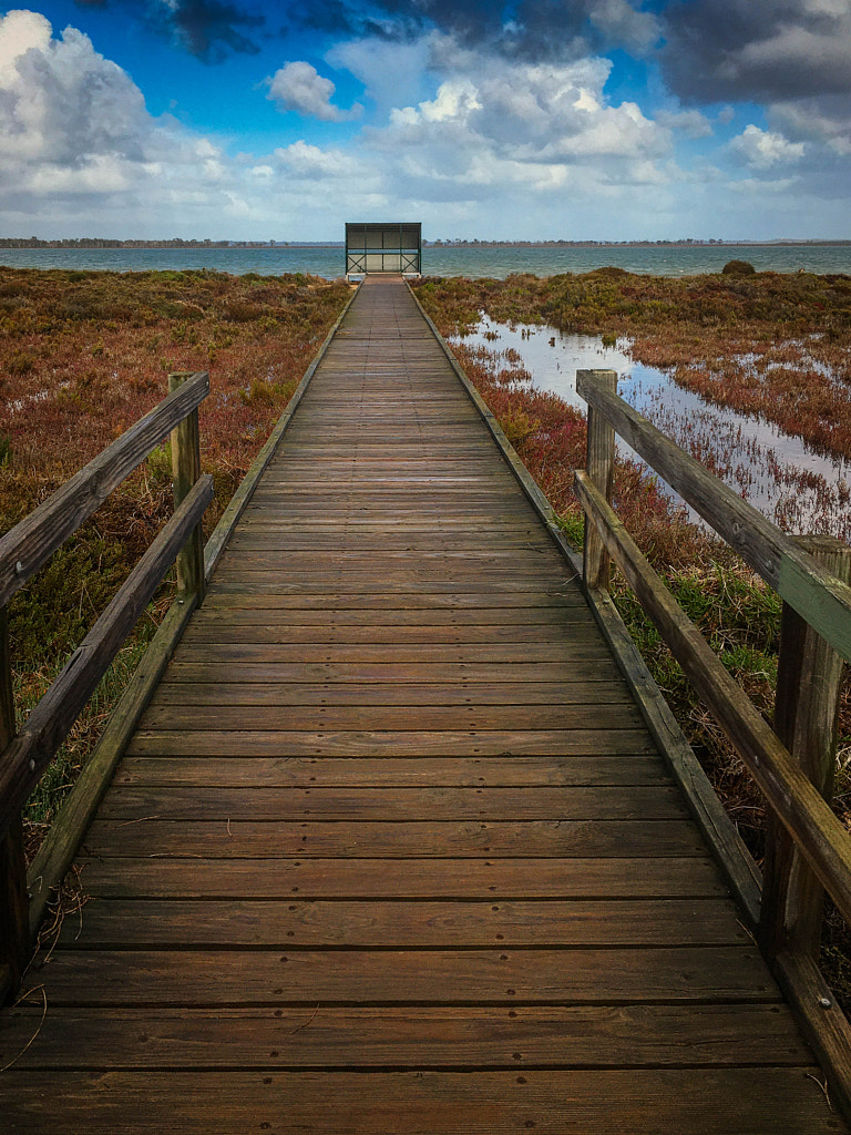 Creery Wetlands Nature Reserve by Paul Amyes on 500px.com