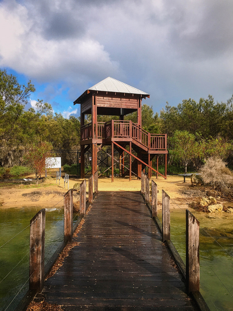 Creery Wetlands Nature Reserve by Paul Amyes on 500px.com