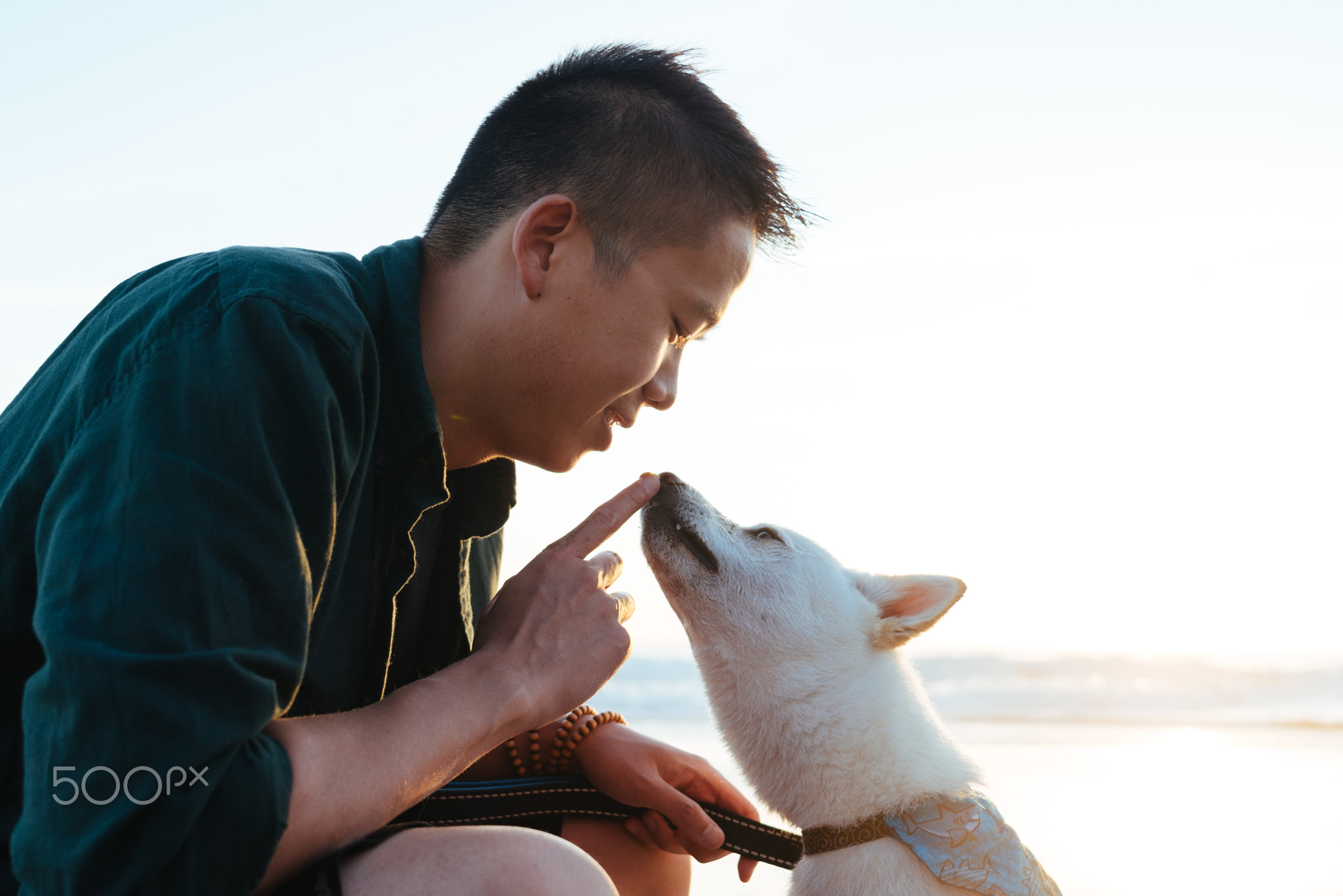 human & dog at the beach.