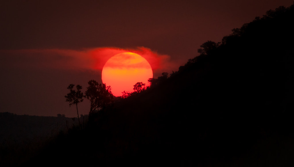 Mara Sunset by Steve D on 500px.com