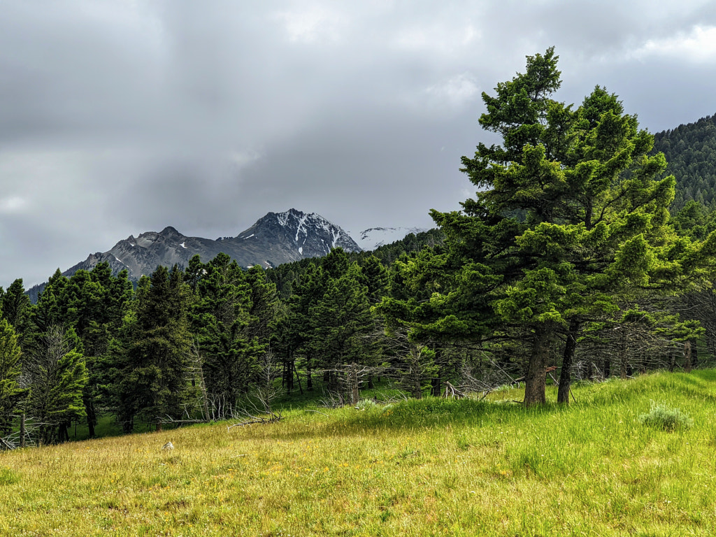 Beattie Gulch by William Martin on 500px.com