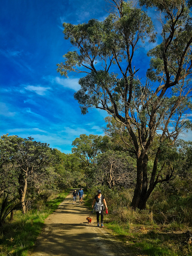 Zamia Trail by Paul Amyes on 500px.com
