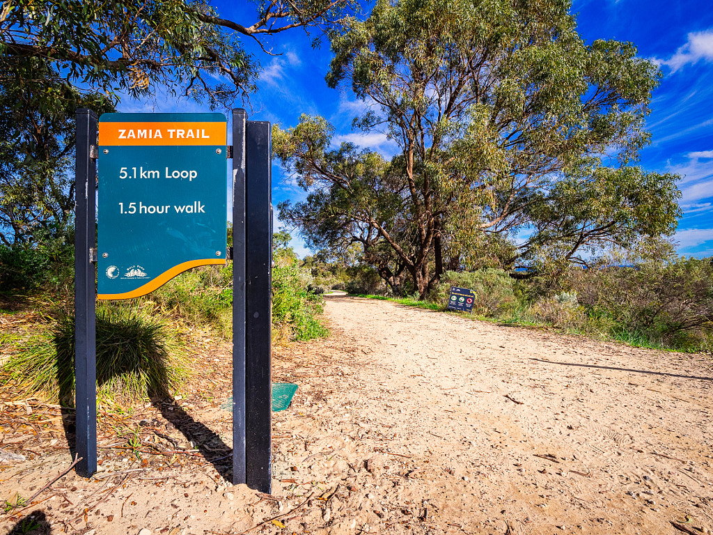 Zamia Trail by Paul Amyes on 500px.com