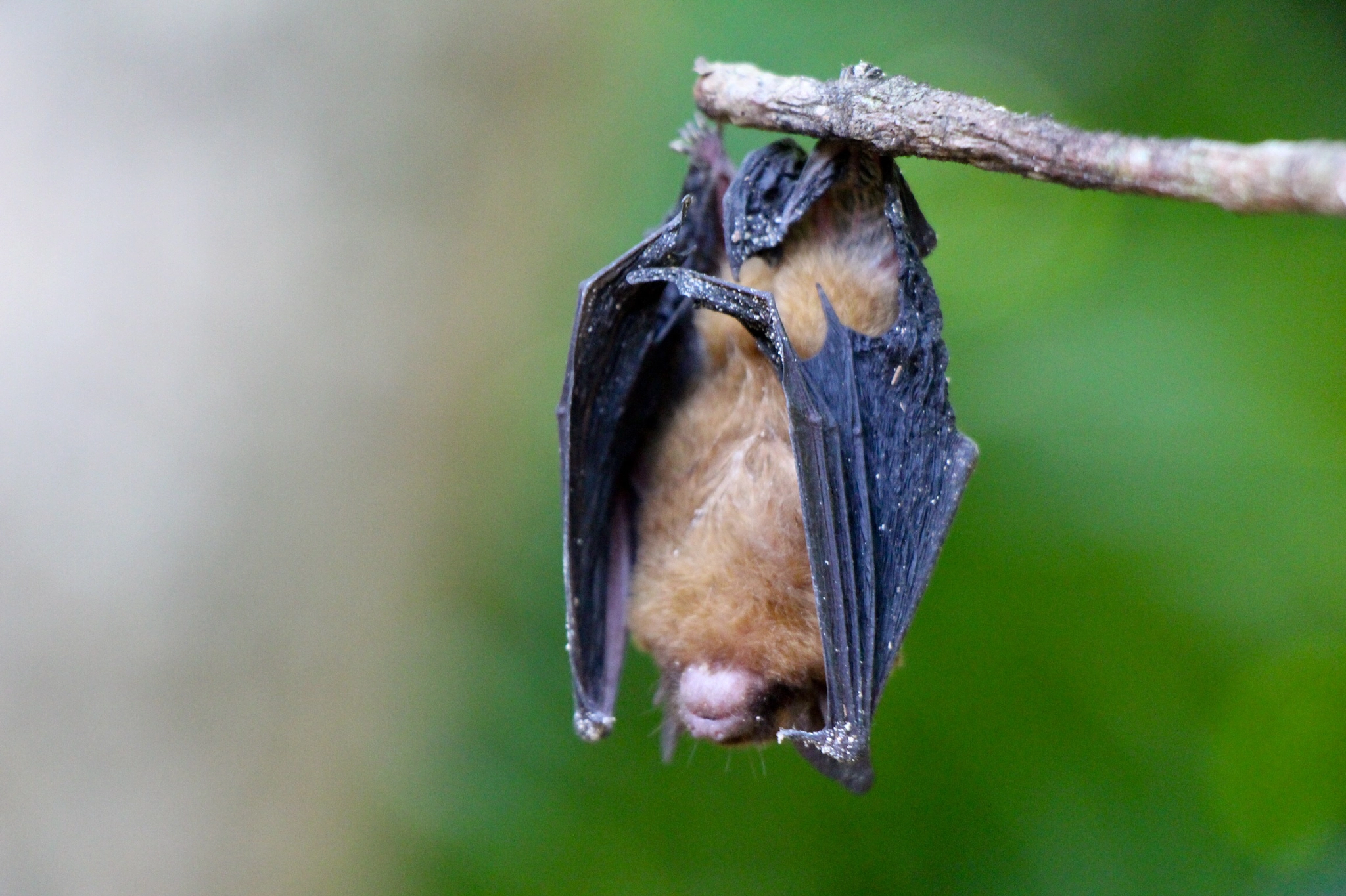 v2?sig=c2bdcec8d89ab0fe17c42357daed5dc6d7bc86b33c37c588ab6962e7f90450a0