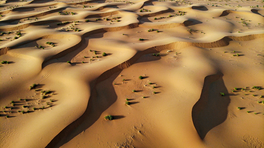 Dunes by Salem  Alforaih on 500px.com