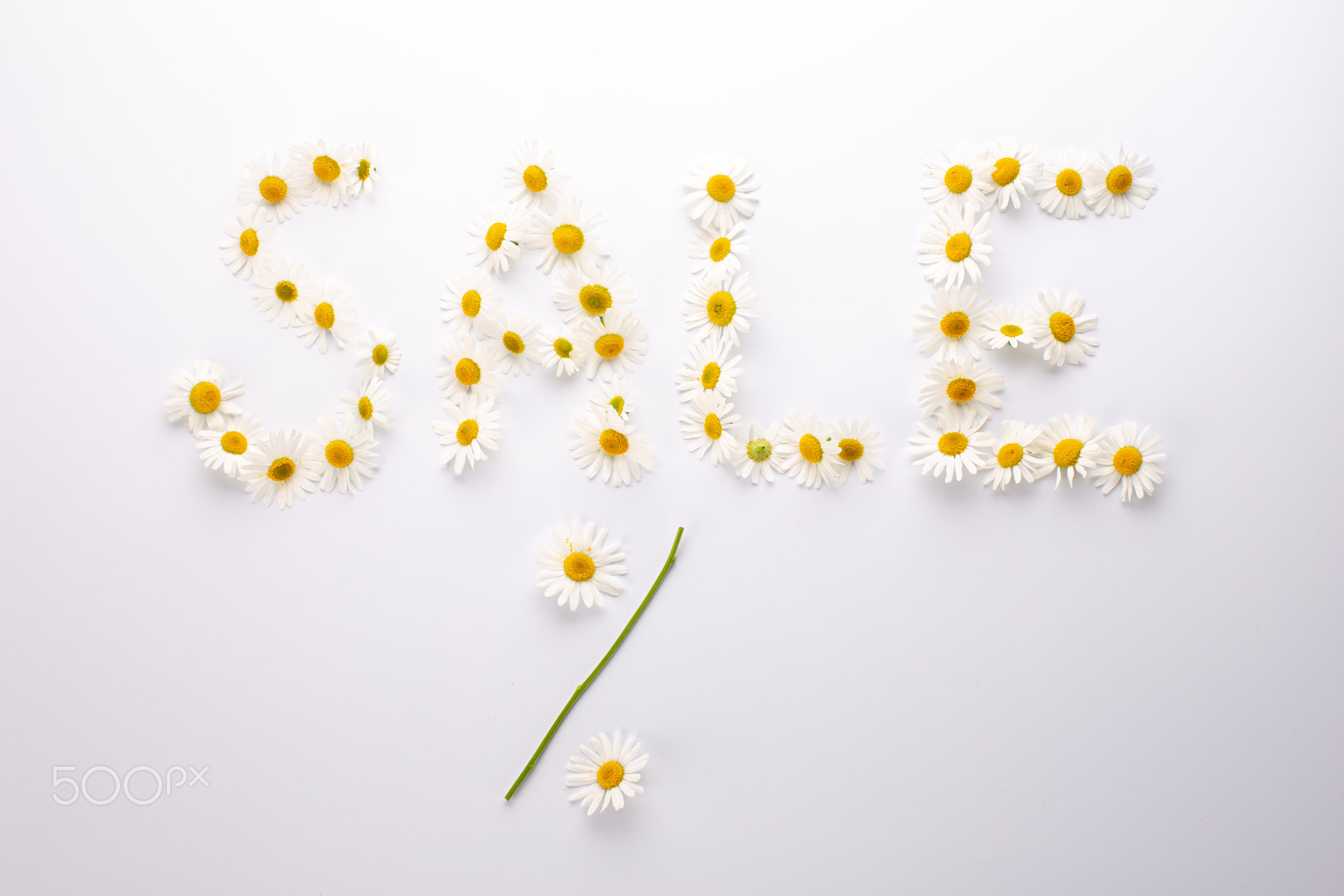 Inscription SALE composed of chamomile or daisy flowers on white