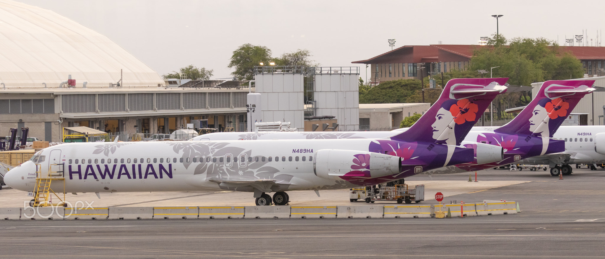 Hawaiian Airlines