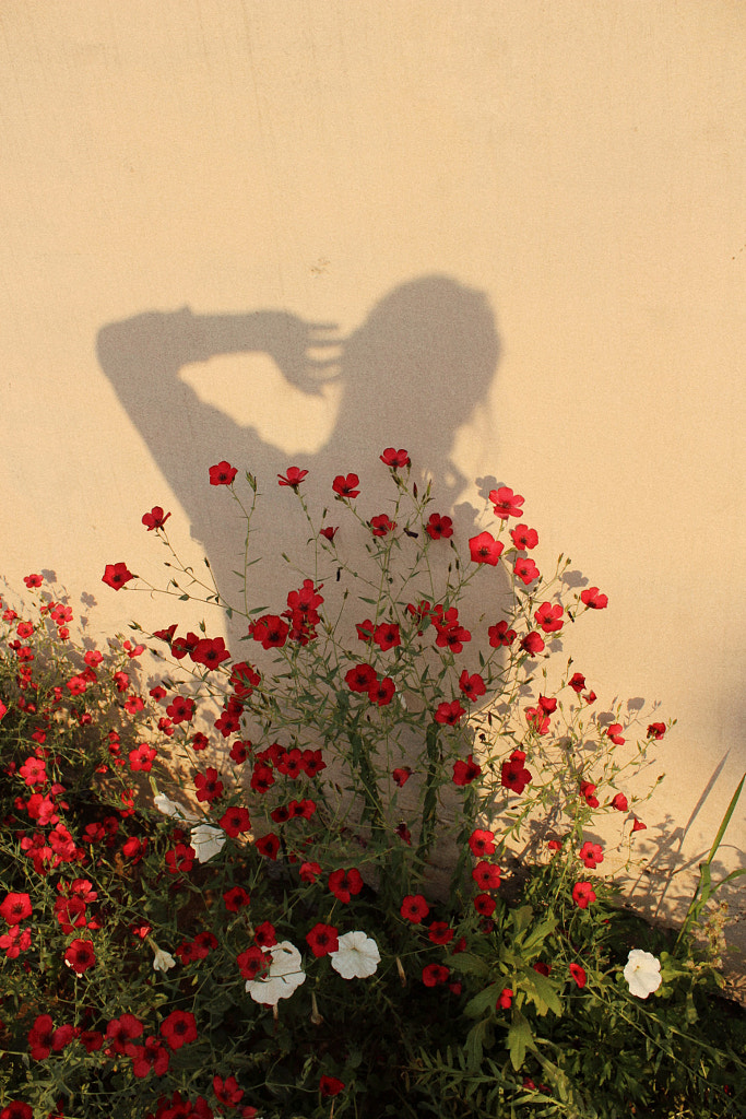 Floral shadow by Ratan Ravesh on 500px.com