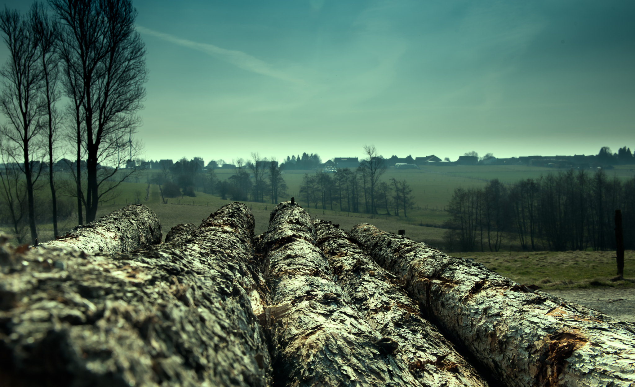 way of wood