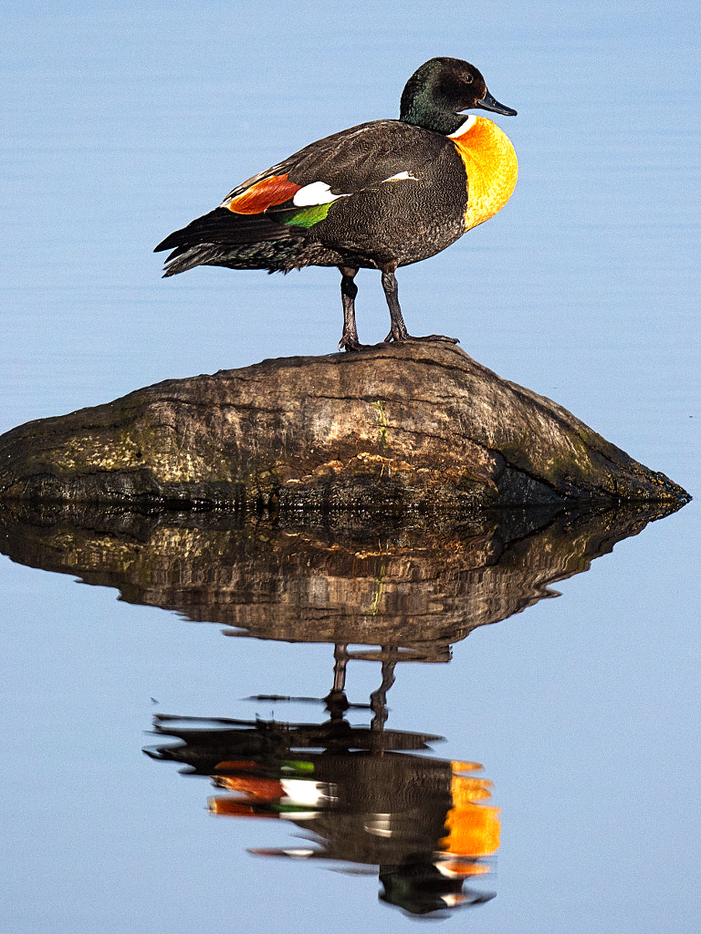 Koorak by Paul Amyes on 500px.com