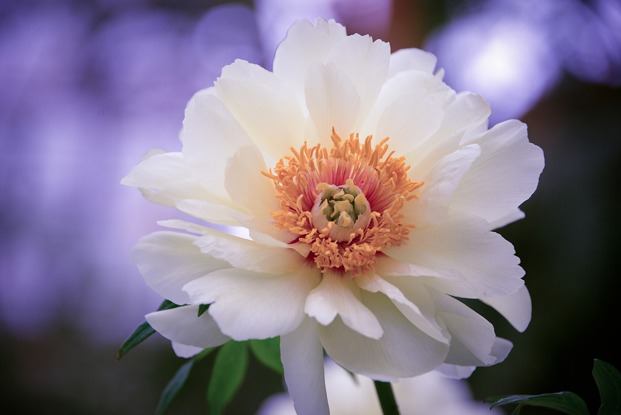 v2?sig=ddedc2d94ef10dec658aee730d2bc782133ecfb628afdf486726a3d1df1fc540