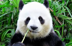 B52 - Nhà cái casino game bài đổi thưởng hot nhất hiện nay