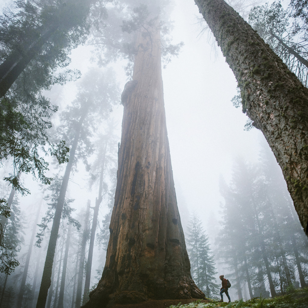 Jamie and the Giant by Ida Hollis on 500px.com