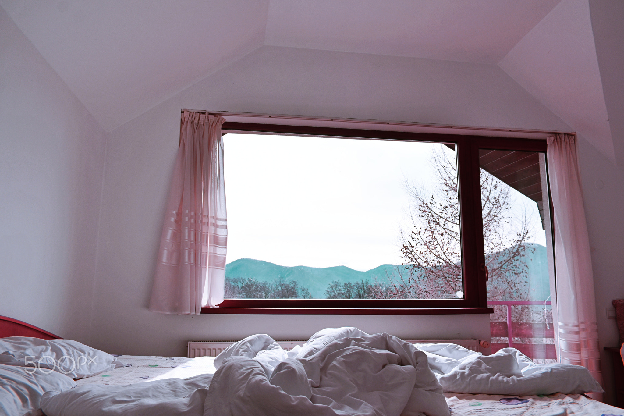 bed room creature floor indoor bed carpet interior