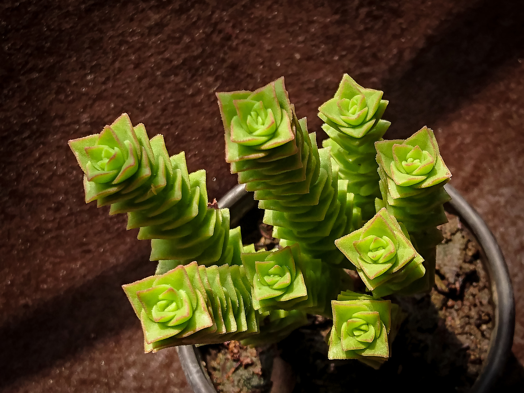 v2?sig=1fb6e10366216c35dcf3292df93ab6622d8520297f10259641061b3656bec529