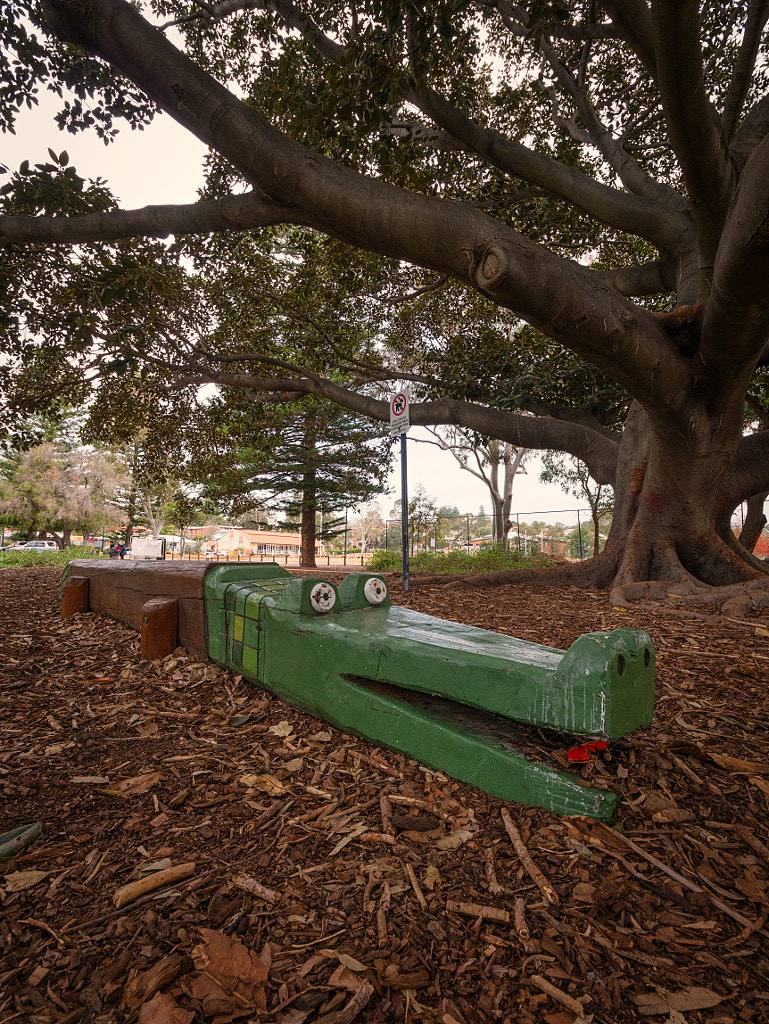 Lake Claremont by Paul Amyes on 500px.com