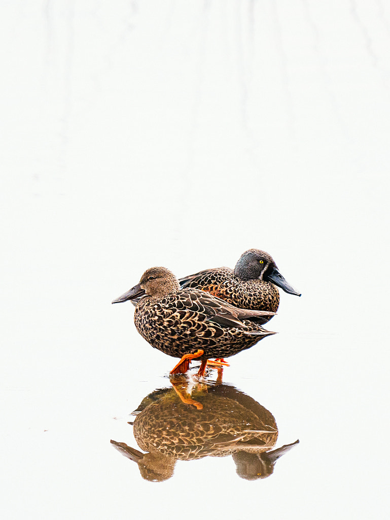 Bardoongooba by Paul Amyes on 500px.com